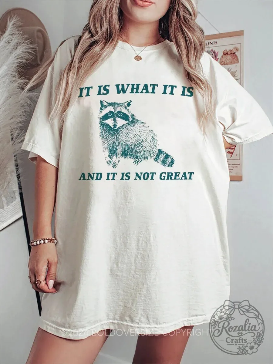 It Is What It Is Raccoon Funny Graphic Oversized T-Shirt 1 It Is What It Is Raccoon Funny Graphic Oversized T-Shirt